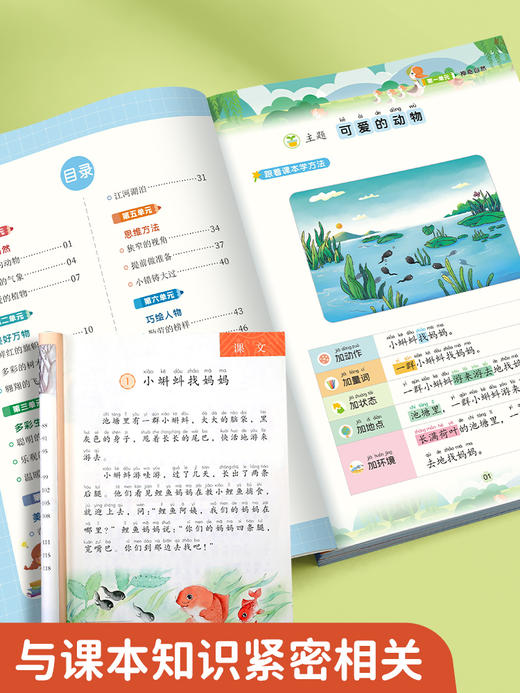 【书行】跟着课本学看图写话一年级二年级上册专项训练人教版语文提高作文每日一练小学生一二年级好词好句好段扩句法 商品图3