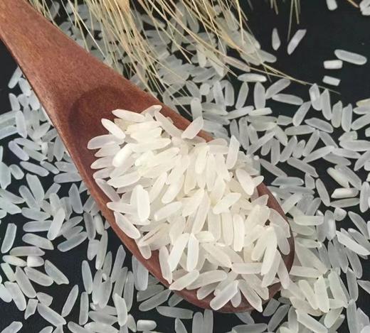 禾仙姑 增乡丝苗米8斤装 商品图1