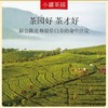 小罐茶茶园系列茶叶彩标陈皮白茶 商品缩略图2