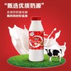 伊利红枣酸奶450g/瓶 商品缩略图0