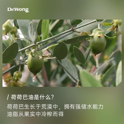 荷荷巴油 基础油X 商品图1