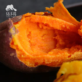 生态河南红薯（哈密红） | 合作生产* Ecological babe pumpkin | Coproduction