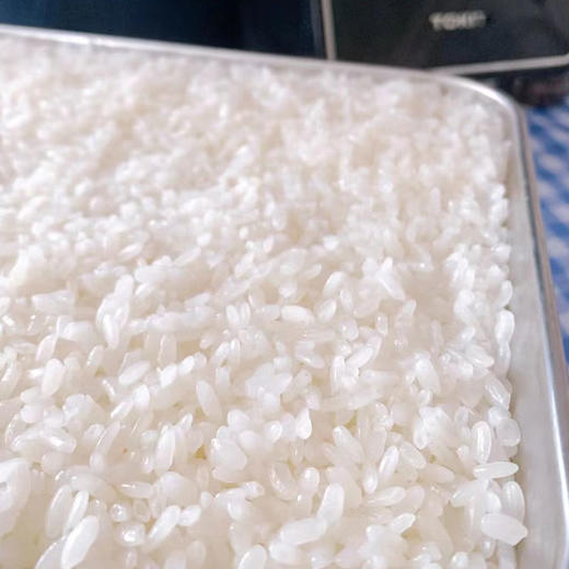 【2025年新米】巴之源长粒香大米 基地自产 商品图2