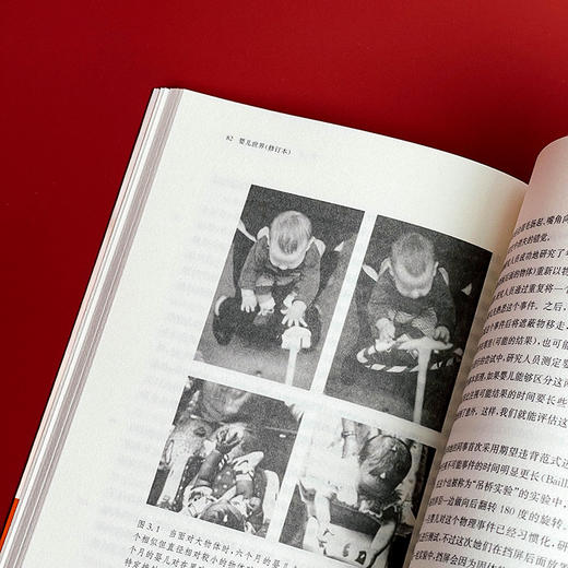 婴儿世界 修订本 婴儿期研究经典著作 婴儿期心理发展 商品图11