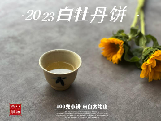 2023白牡丹《小冰肌》，柔！润！滑！细！花香潋滟，汤水柔中带润，润中含香 商品图13