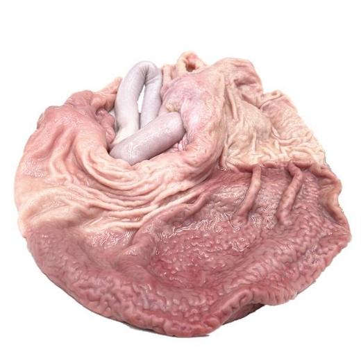 临泉农家散养猪肚黑猪土猪肚子食疗必备新鲜现杀 商品图0