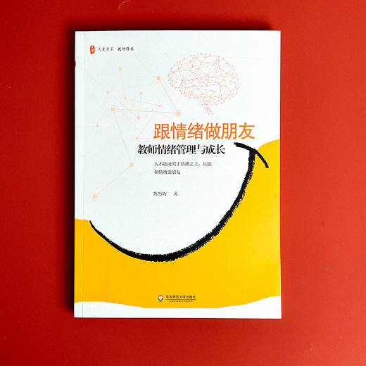 跟情绪做朋友 教师情绪管理与成长 教师修养 大夏书系 中小学教师情绪自我控制 商品图1