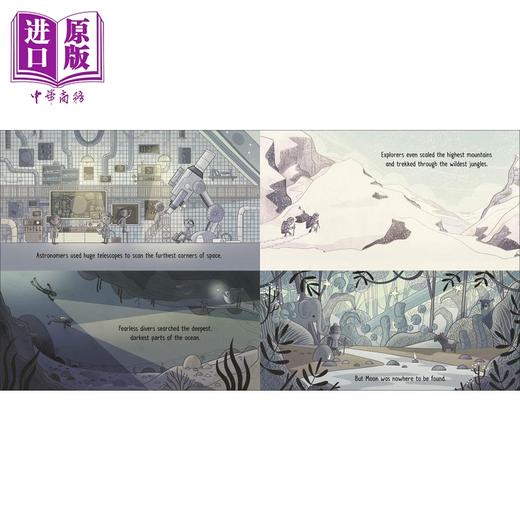 【中商原版】 DK绘本百科系列 动植物知识科普故事图画书8册 英文原版 Brendan Kearney Bird Fish Forest Arctic Bee 商品图5