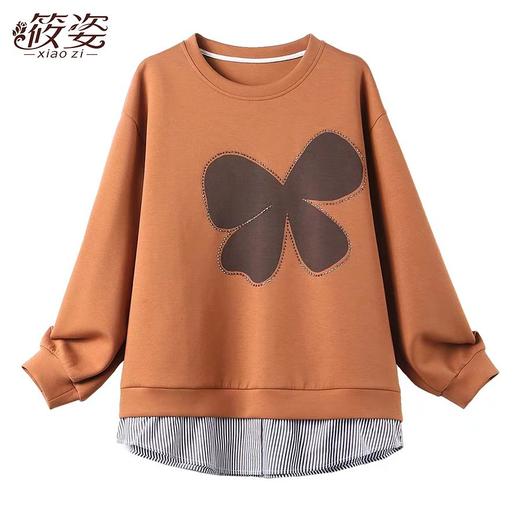 DD-筱姿新款假两件烫钻条纹卫衣外套女2023秋季宽松显瘦长袖上衣 商品图4