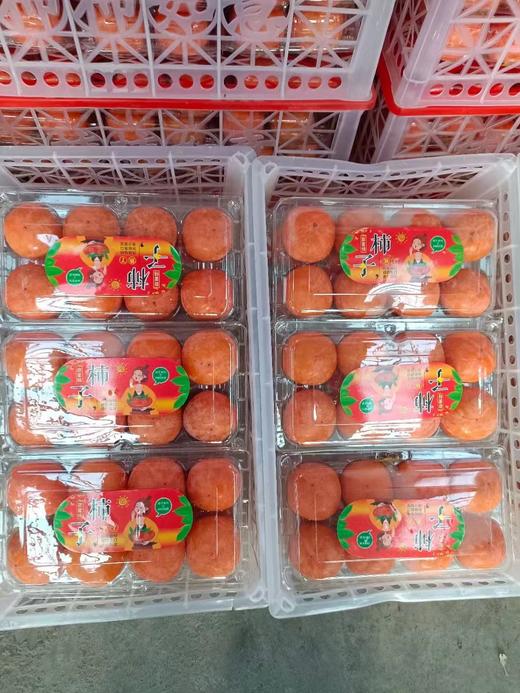 柿子盒装（一盒8个） 约一斤 商品图0