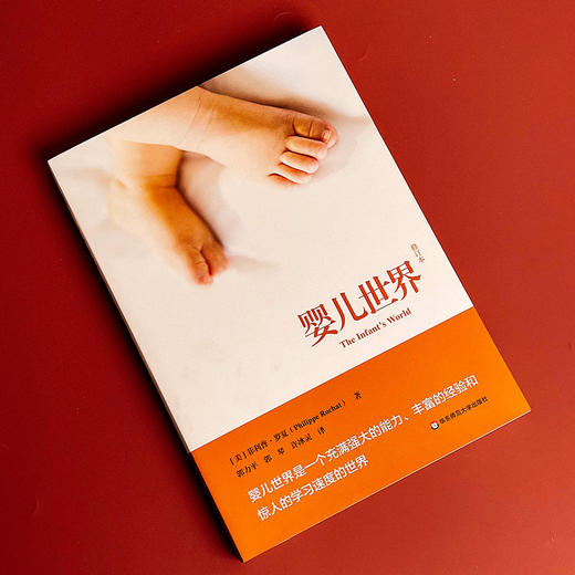 婴儿世界 修订本 婴儿期研究经典著作 婴儿期心理发展 商品图3