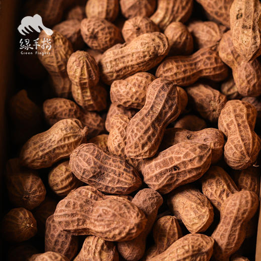 生态半干花生（带壳） | 合作生产* Ecological  Peanuts | Coproduction 商品图2
