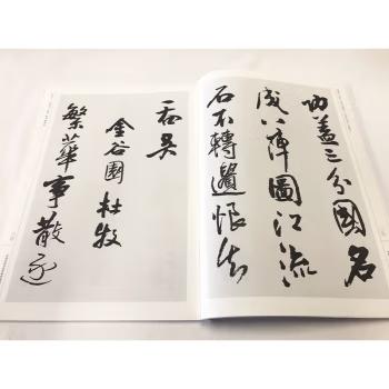 中国历代书法名家作品集字 王铎唐诗【现货包邮】RM0119 商品图2