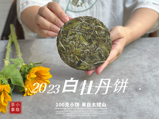 2023白牡丹《小冰肌》，柔！润！滑！细！花香潋滟，汤水柔中带润，润中含香 商品图6