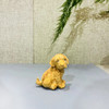 金毛狗°黄杨小摆件 商品缩略图0