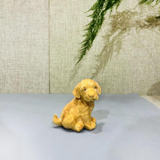 金毛狗°黄杨小摆件 商品图0