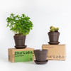【定制产品不零售】Zhalabo咖啡渣花盆环保种植小盆栽绿植桌面办公室创意礼品 商品缩略图1