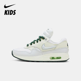 Nike Air Max 1 SE (GS) 大童运动童鞋 FB9582
