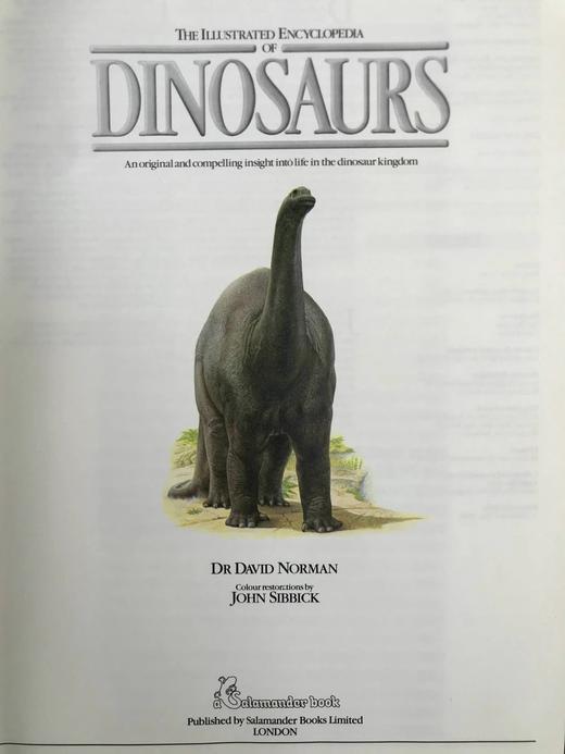 恐龙图解百科 700余幅插图 精装大16开 商品图3