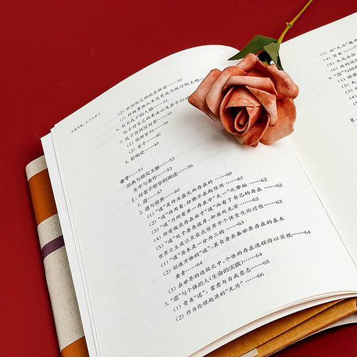 雅斯贝尔斯著作集 大哲学家 孔子与老子 精装 哲学思想研究 商品图8