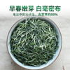 2026新茶 7星毛尖绿茶明前春茶嫩芽125g*2罐 商品缩略图1
