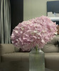 【国产绣球】浅粉色  单枝 商品缩略图0
