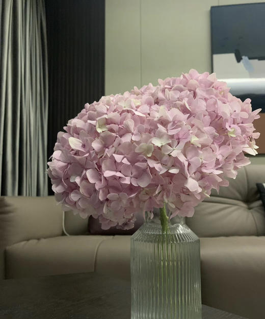 【国产绣球】浅粉色  单枝 商品图0