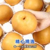 【汁多甘甜！山东秋月梨】个个饱满新鲜水果莱阳冰糖梨子现摘现发整箱送礼自留健康 商品缩略图0