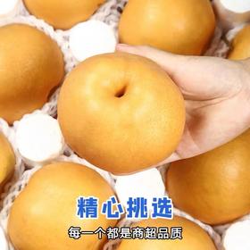 【汁多甘甜！山东秋月梨】个个饱满新鲜水果莱阳冰糖梨子现摘现发整箱送礼自留健康