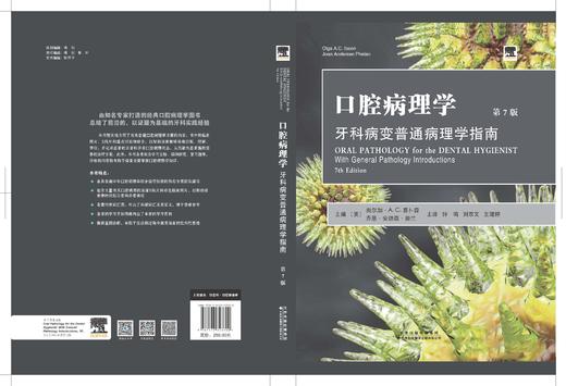 口腔病理学：牙科病变普通病理学指南 口腔 口腔病理学 口腔病变
 商品图2