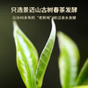 澜沧古茶2023年鼎和景迈0085普洱熟茶古树茶七子饼茶 商品缩略图3