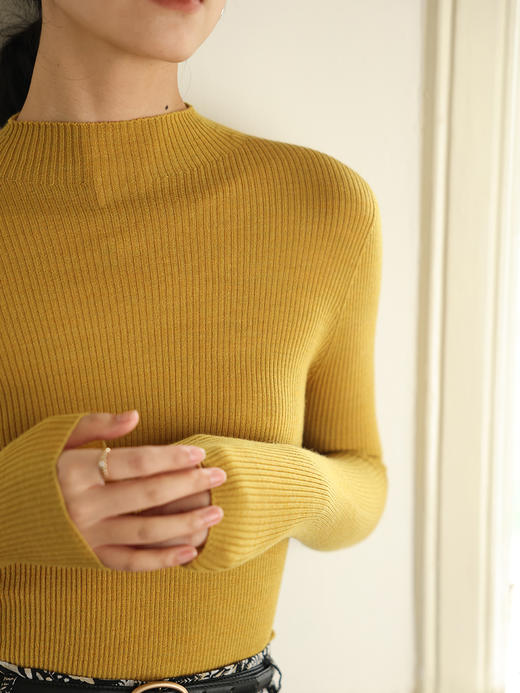 HeyDress半高领羊毛针织衫女秋冬修身扬子纱打底衫无缝一体毛衣 商品图0