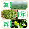 2026新茶 7星毛尖绿茶明前春茶嫩芽125g*2罐 商品缩略图4