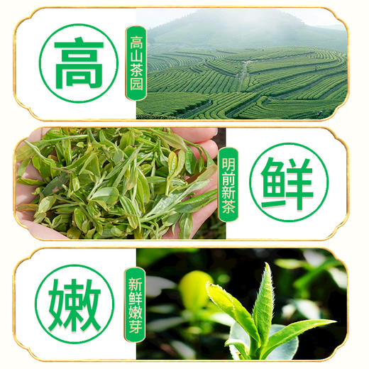 2026新茶 7星毛尖绿茶明前春茶嫩芽125g*2罐 商品图4