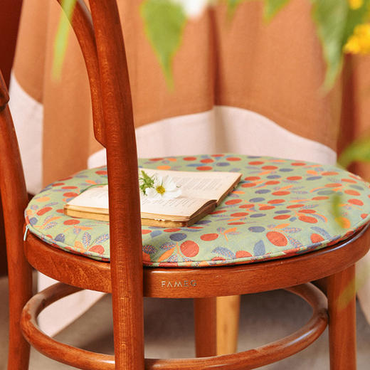 海棠果圆形椅垫家用四季通用中式实木加厚餐椅防滑坐垫 商品图2