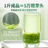 2026新茶 7星毛尖绿茶明前春茶嫩芽125g*2罐 商品缩略图2