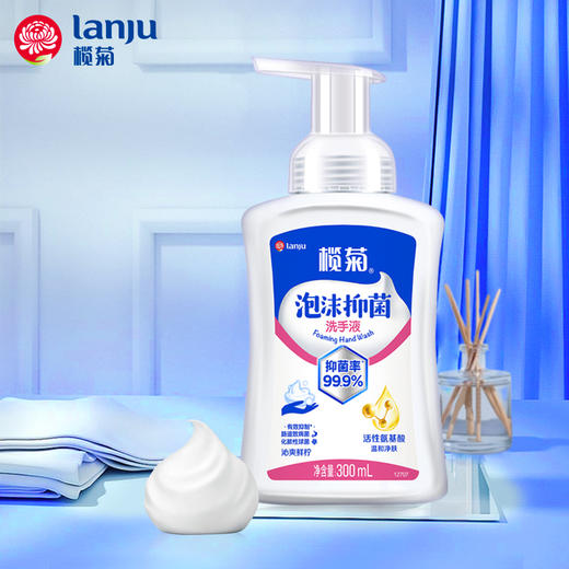 榄菊 泡沫洗手液300ml*2 商品图1