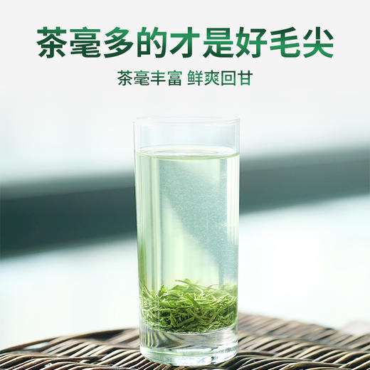 2026新茶 特尊茶5星毛尖明前春茶毛尖 250g*1袋 商品图2