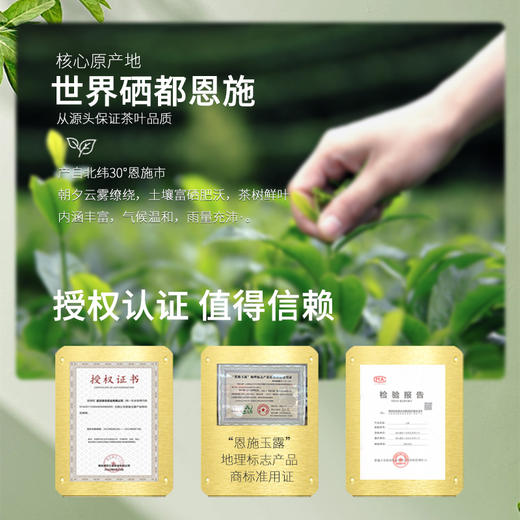 2026明前新茶 特尊5星系列恩施玉露明前春茶绿茶125g*2袋 商品图2
