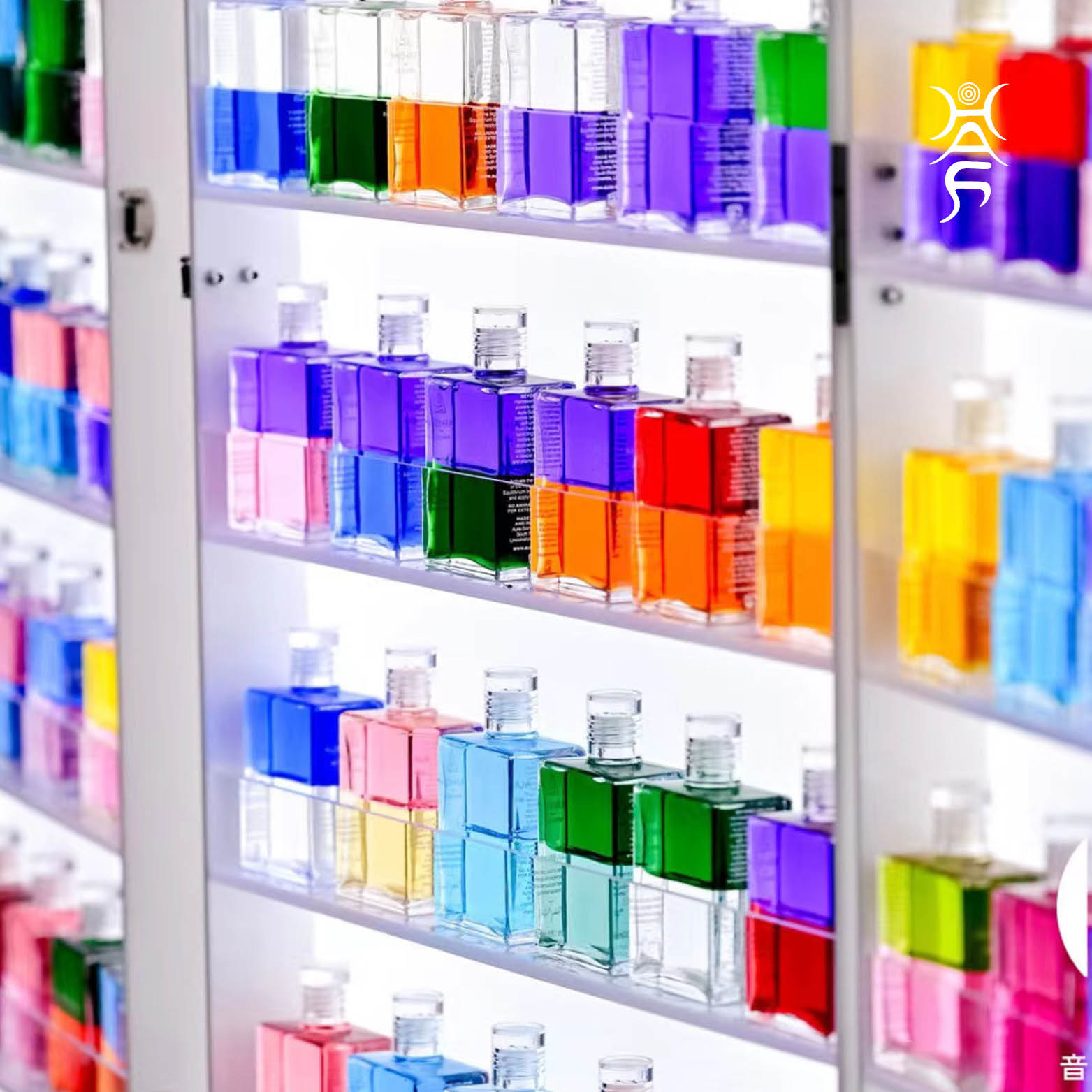 [S4]寻找你的灵魂光线 - Ananda 极喜