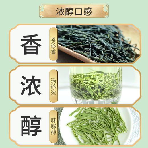 2026新茶 特尊茶4星毛尖明前春茶毛尖绿茶258g*2袋 商品图4