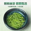 2026新茶 7星毛尖绿茶明前春茶嫩芽125g*2罐 商品缩略图3