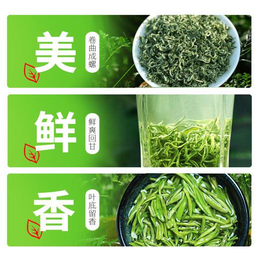 2026明前新茶 7星碧螺春明前春茶绿茶125g*2罐 商品图4