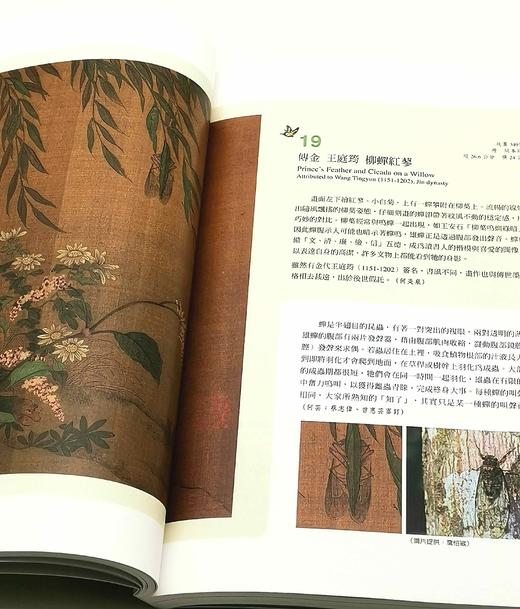 《草虫捉迷藏特展图录》，主编：邱士华、杨若苓、吴诵芬，16开平装，页数不详 商品图9
