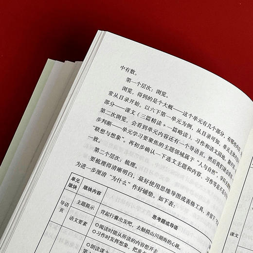 小学语文大单元教学八讲 大夏书系 语文之道 新课标解读 商品图9