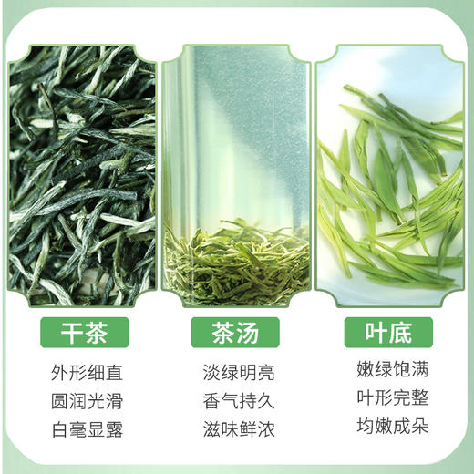 2026新茶 特尊茶5星毛尖明前春茶毛尖 250g*1袋 商品图5