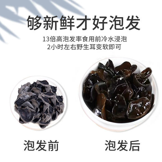 【国庆正常发货】在菌屋 东北黑木耳干货120g 商品图4