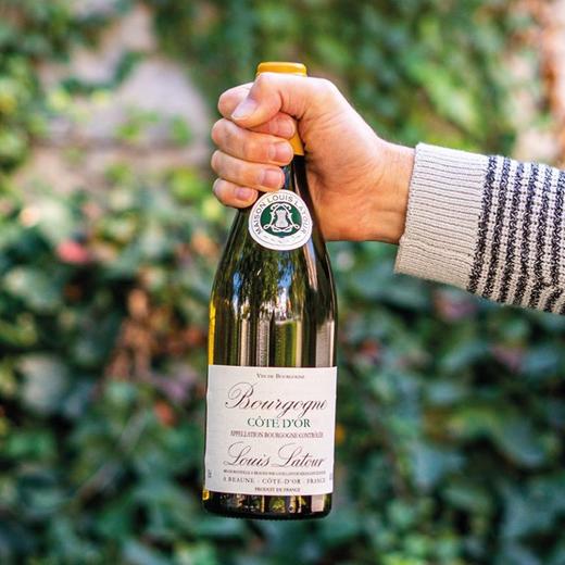 高性价比勃艮第白！路易拉图金丘霞多丽干白 Louis Latour Bourgogne Côte d'Or Blanc 2017【媲美村级种植标准】 商品图1