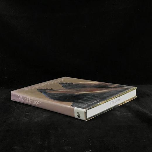 艾伦‧豪泽艺术作品图集 265幅插图（215幅彩色） 精装大16开 商品图1