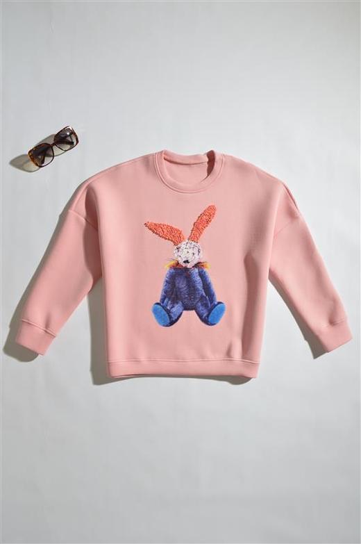 艾衣集26CQ_卫衣_ZK 商品图0